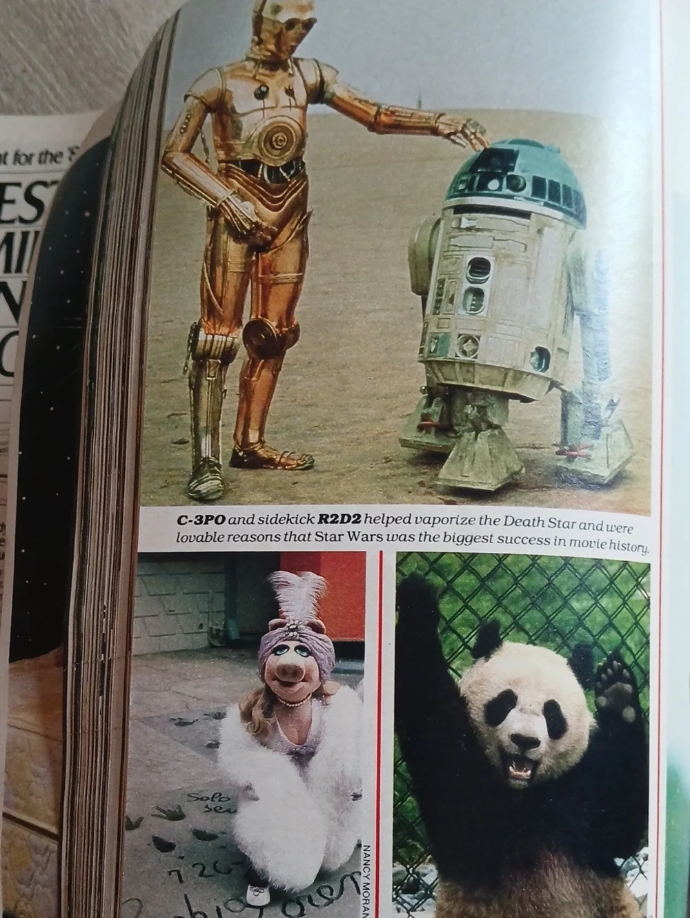 LIFE Magazine Special Issue 